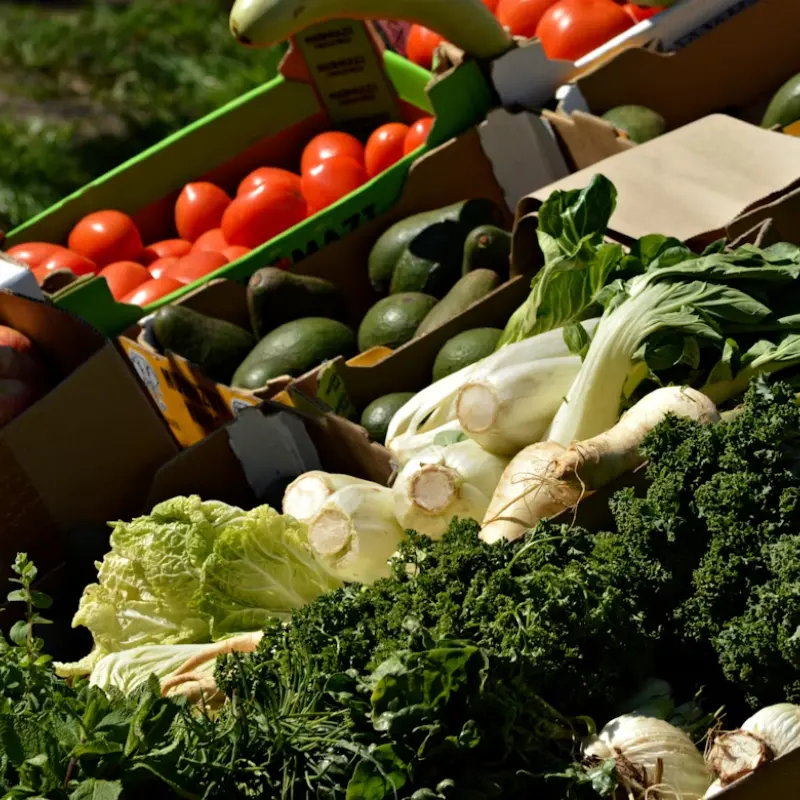 Mangiare vegetale non è più una rinuncia